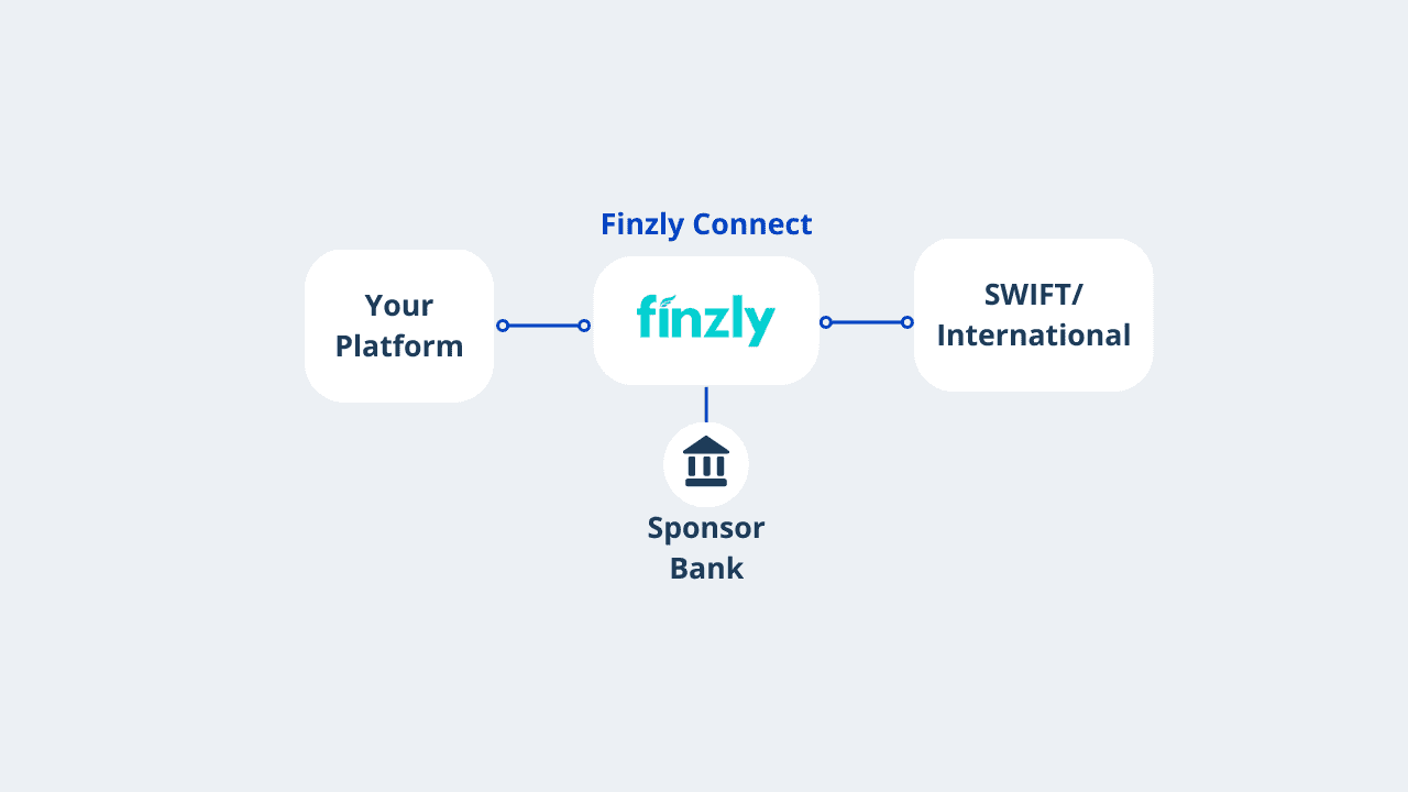 International Payments